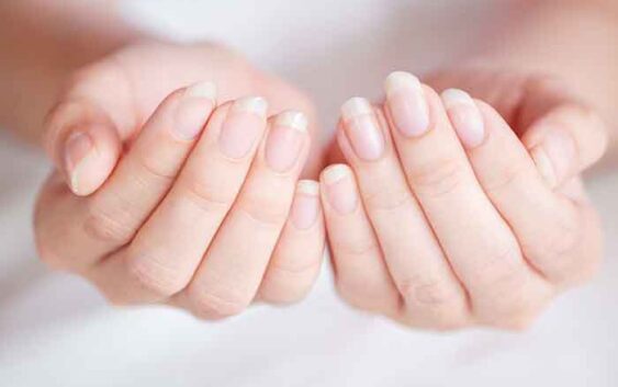 How does hydration promote nail growth?